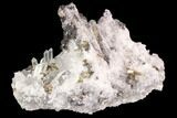 Sphalerite, Pyrite and Quartz Association - Peru #94411-1